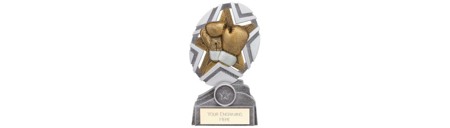 THE STARS BOXING RESIN TROPHY - 3 SIZES - 13CM - 17CM